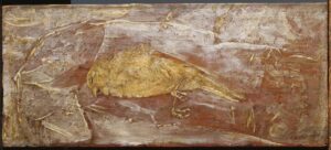 1702 Alfred Pinkham Ryder, The Dead Bird, 1890s Oil on wood panel, 4 3/8 x 10 in The Phillips Collection, Washington DC
