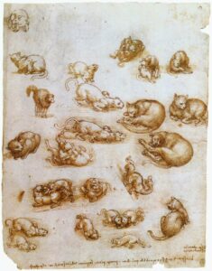 Leonardo da Vinci, Study sheet with cats, dragon and other animals, between 1513 and 1515 Pen, ink, black chalk on paper, 10.66 in x 8.03 in Royal Library at Windsor Castle, UK