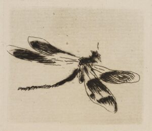 Édouard Manet, Dragonfly, plate 1 from Le Fleuve, 1874 Etching, drypoint and aquatint in black on ivory laid paper, 1 15/16 × 2 3/16 in Art Institute of Chicago