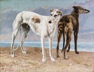 Gustave Courbet, The Greyhounds of the Comte de Choiseul, 1866 Oil on canvas, 35 1/4 x 45 7/8 in Saint Louis Art Museum, Missouri