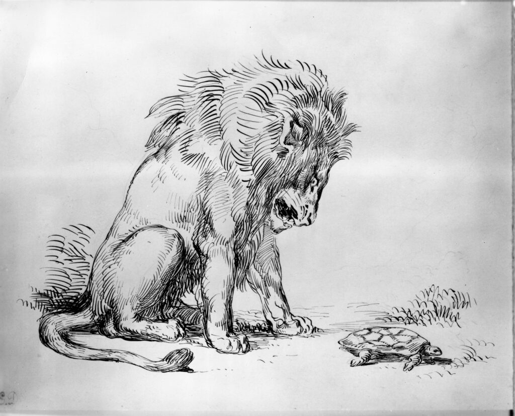 Eugène Delacroix, Lion and Tortoise, 1835 Pen and iron gall ink with graphite on light blue paper, 7 13/16 x 10 1/4 in The Walters Art Museum, Baltimore