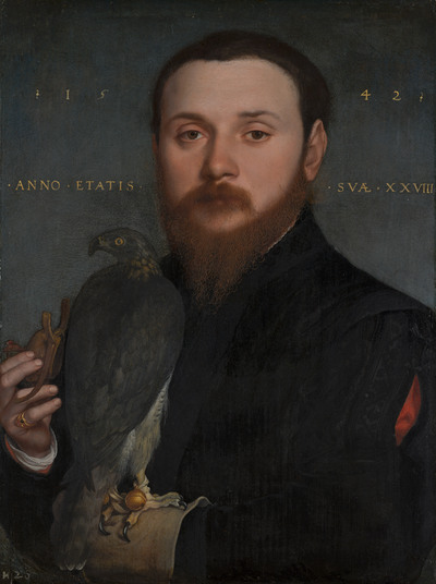 Hans Holbein the Younger, Portrait of a Nobleman with a Hawk, 1542 Oil on panel, 9.7 x 7.4 in Mauritshuis, The Hague