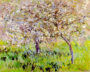 Claude Monet, Apple Trees in Bloom at Giverny, 1900 - 1901 Oil on canvas