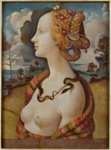 Piero di Cosimo, Portrait of Simonetta Vespucci, 1490 Tempera on panel, 22.44 x 16.53 in Condé Museum, Chantilly, France