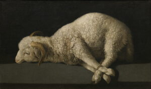 Francisco de Zurbarán, Agnus Dei, between 1635 and 1640 Edit this at Wikidata Oil on canvas, 14.6 x 24.4 in Museo del Prado, Madrid