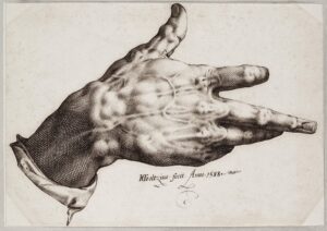 Hendrik Goltzius, Goltzius's Right Hand, 1588 Pen and brown ink, 9 x 12 5/8 in Teylers Museum, Haarlem