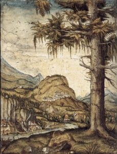 Albrecht Altdorfer, Large Fir, 1512-22 Etching with watercolour, 8.9 x 6.7 in Art Collections of the Veste Coburg, Germany