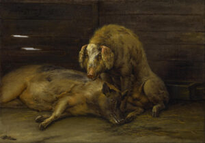 Paulus Potter, Two Pigs in a Sty, 1649 Oil on canvas, 12.75 x 17.75 in Museum of Fine Arts, Houston