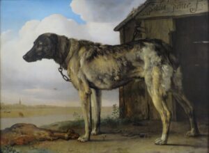 Paulus Potter, Wolf-Hound, between 1650 and 1652 Oil on canvas, 38.1 x 51.9 in Hermitage Museum, St Petersburg