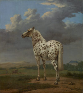 Paulus Potter, The Piebald Horse, c 1650–1654 Oil on canvas, 19 3/4 × 17 3/4 in J Paul Getty Museum, Los Angeles