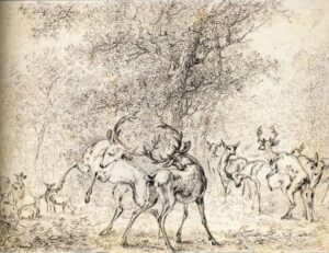 Paulus Potter, Deer in the Wood, 1647 Black chalk, 9.4 x 12.5 in Rijksmuseum, Amsterdam