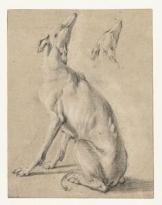 Frans Snyders, A Sitting Dog and the Head of a Dog Black and white chalk on light brown tinted paper, 7.6 x 5.9 in Rijksmuseum, Amsterdam