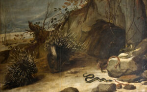 Frans Snyders, Porcupines and Vipers, c 1579-1657 Oil on canvas, 67.3 x 76.7 in Cerralbo Museum, Madrid