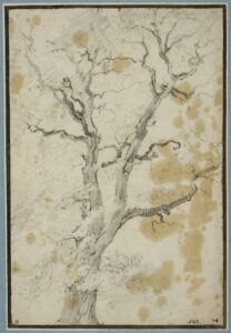 Adam Pynacker, Study of a Tree, Black chalk, wash on gray paper, 12 x 8 in Nationalmuseum, Stockholm