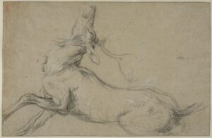 Frans Snyders, Study of a Stag at Bay, between 1630 and 1639 Drawing, 10.3 x 15.7 in Nationalmuseum, Stockholm