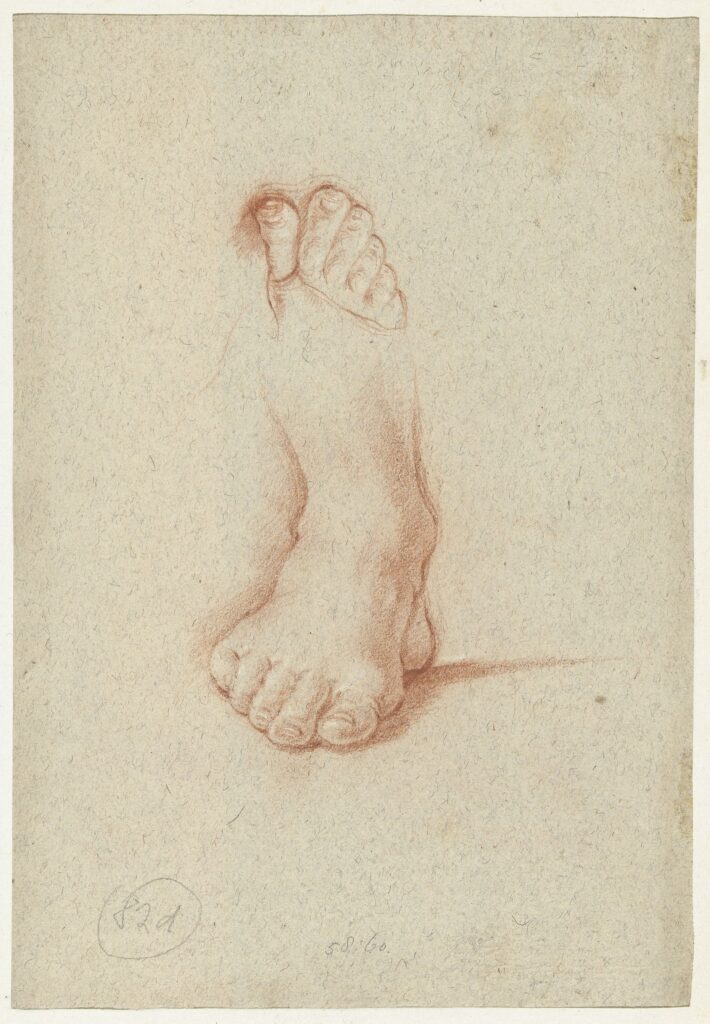 Domenichino, Two Studies of a Foot, 1591–1641 Red and white chalk on paper, 10.7 × 7.6 in Rijksmuseum, Amsterdam