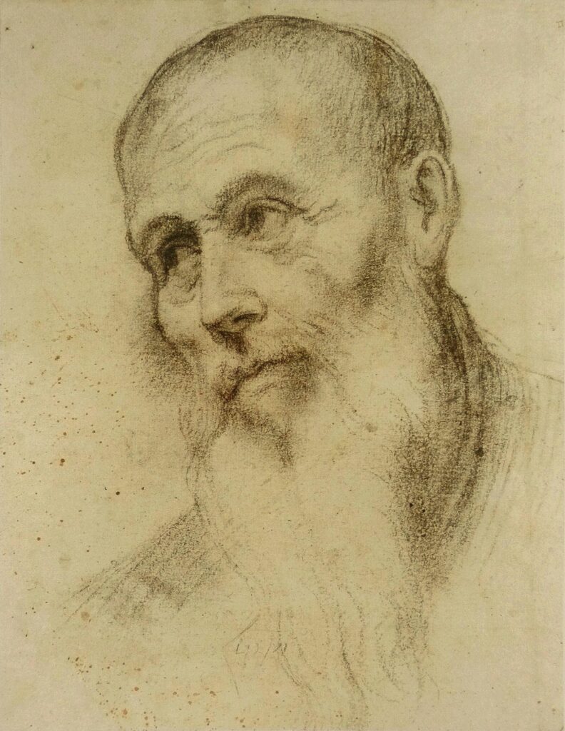 Bonifazio Veronese, Head of a Bearded Man, 16th century Black chalk on paper, 10.4 × 8.1 in Musée des Arts Précieux Paul-Dupuy, Toulouse, France
