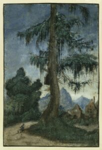 Albrecht Altdorfer, Landscape with Spruce, c 1522 Pen, brown India ink, watercolor and gouache as well as fine-line white heightening, 7.9 x 5.3 in Kupferstichkabinett Berlin
