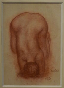 Aristide Maillol, Tulip, 1941 Sanguine on paper Musée Maillol, Paris.