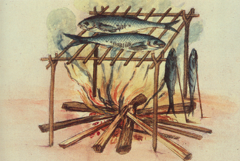 John White, Broiling Fish over a Fire, 1585–1593 Watercolour over graphite, heightened with white and gold, 5.7 × 6.7 in British Museum, London