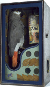 Joseph Cornell, Untitled (Fortune-Telling Parrot for Carmen Miranda), c 1939 Glass-paned wooden box with brass handles, taxidermy parrot, music box parts, dried and varnished leaves, mirror, cardboard, colored and printed papers, wooden branch, metallic stickers, wood, paint, and string, 16 1/16 x 8 3/4 x 6 11/16 inches Peggy Guggenheim Collection, Venice
