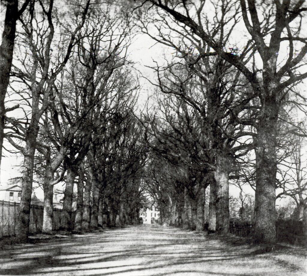 William Henry Fox Talbot, Coley Avenue, Reading, Looking North-Eastwards to the Top of Castle Hill and Bath Road, c 1845 Reading Borough Libraries
