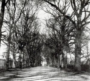 William Henry Fox Talbot, Coley Avenue, Reading, Looking North-Eastwards to the Top of Castle Hill and Bath Road, c 1845 Reading Borough Libraries