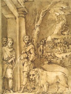 Baldassare Tommaso Peruzzi, Androcles and the Lion, early 1530s Pen and brush and brown wash, squared up in black chalk, 10.6 x 8 in) State Hermitage Museum, St Petersburg