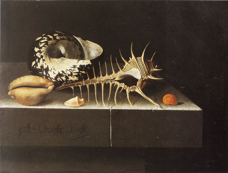 Adriaen Coorte, Still Life with Shells, 1698 Oil on paper mounted on panel, 6.7 × 8.9 in Eijk and Rose-Marie van Otterloo Collection, Museum of Fine Arts Boston