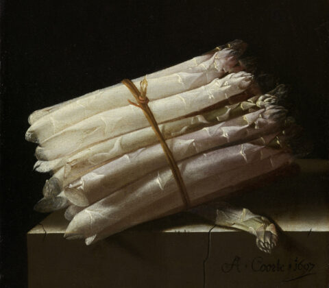 Adriaen Coorte, Still Life with Asparagus, 1697 Oil on paper mounted on panel, 9.8 × 8.1 in Rijksmuseum, Amsterdam