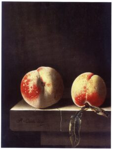 Adriaen Coorte, Two Peaches, 1696 Oil on paper mounted on panel, 10.9 x 8.9 in Private collection
