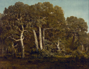 Théodore Rousseau, The Great Oaks of Old Bas-Bréau, 1864 Oil on canvas, 46 x 35.5 in Museum of Fine Arts, Houston