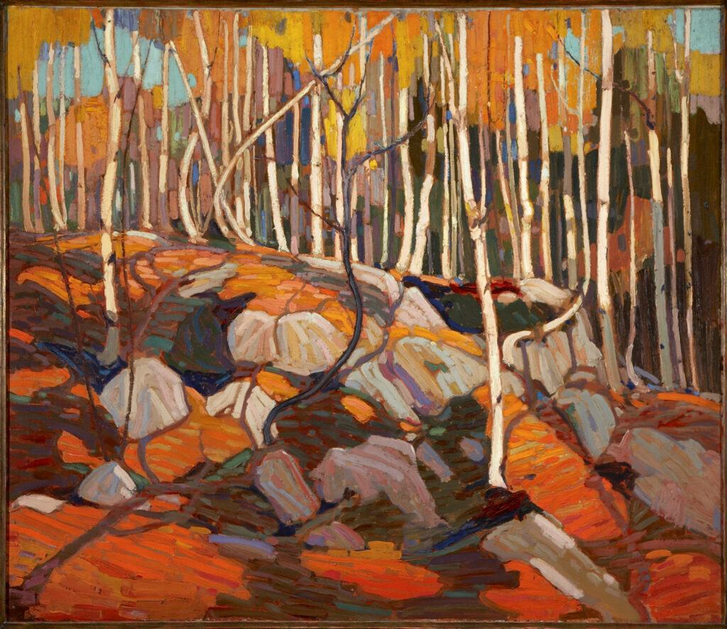 Tom Thomson, The Birch Grove, Autumn/Birch and Rocks, Autumn, 1915–1916 Oil on canvas, 40 x 46 in Art Gallery of Hamilton, Hamilton