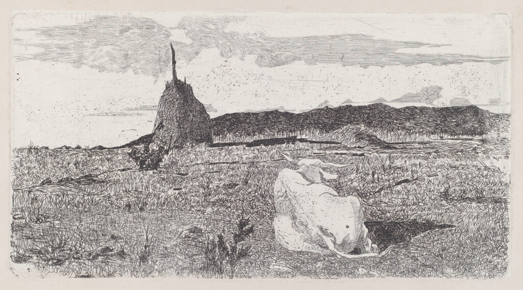 Giovanni Fattori, Holy Cow/Pio Bove, 1888–1890 Etching on chine collé on wove paper, 6.9 x 13 in National Gallery of Art, Washington DC