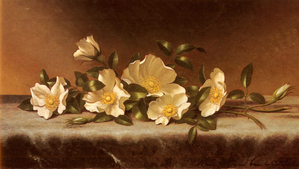 Martin Johnson Heade, Cherokee Roses on a Light Gray Cloth, c 1883–1885 Oil on canvas, 10.4 x 18.9 in Private Collection