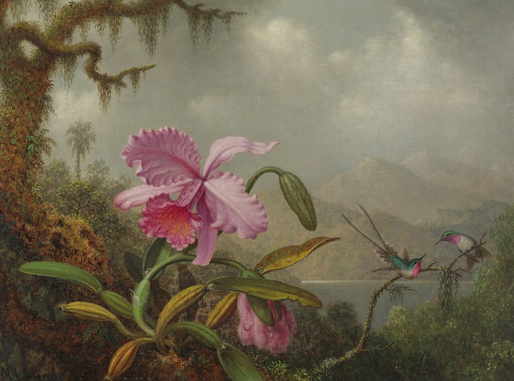 Martin Johnson Heade, Hummingbirds and Gold and Purple Orchids, c 1875–1883 Oil on canvas, 14 x 22.3 in Private Collection