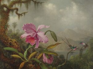 Martin Johnson Heade, Hummingbirds and Gold and Purple Orchids, c 1875–1883 Oil on canvas, 14 x 22.3 in Private Collection