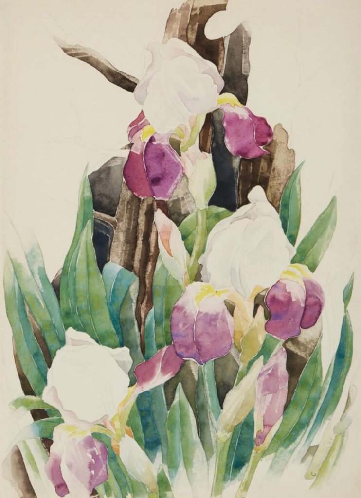 Charles Demuth, Iris, 1933 Watercolor and pencil on paper, 14 × 10 in Private Collection