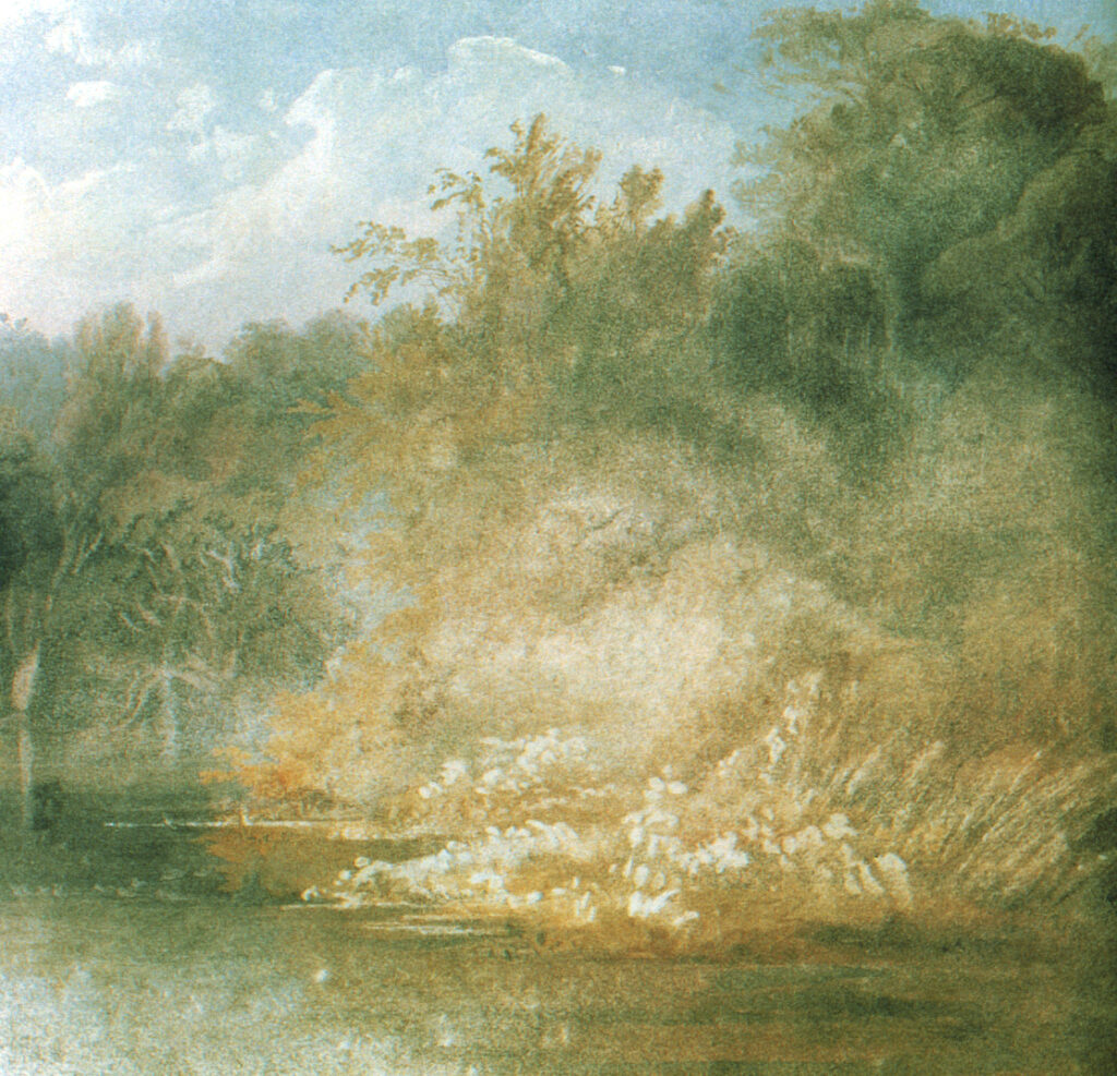 Karl Bodmer, Forest Scene on the Lehigh (Detail), 1832 Watercolor and graphite on paper, 11.1 × 16.7 in (full sheet) Joslyn Art Museum, Omaha