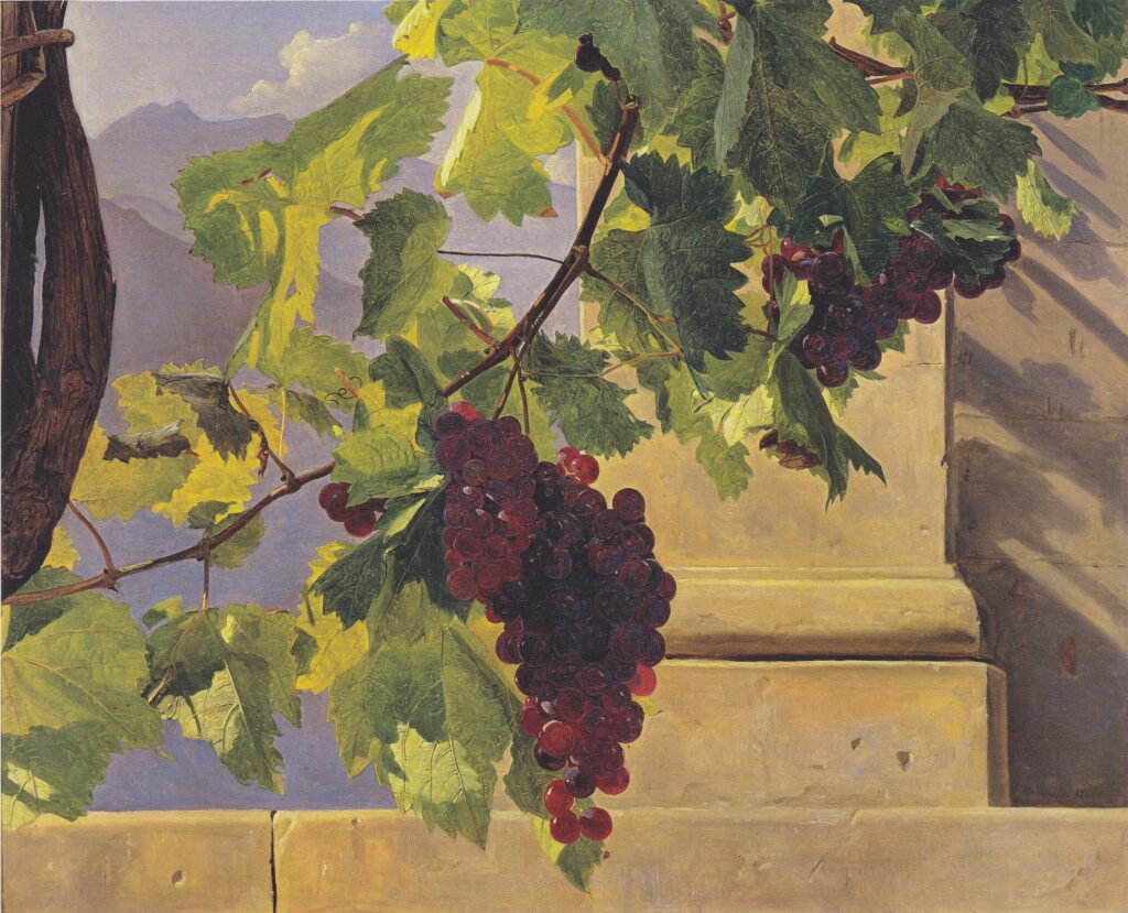 Ferdinand Waldmüller, Trailing Grapes, 1841nOil on canvas, 15.4 × 18.9 innBelvedere, Vienna