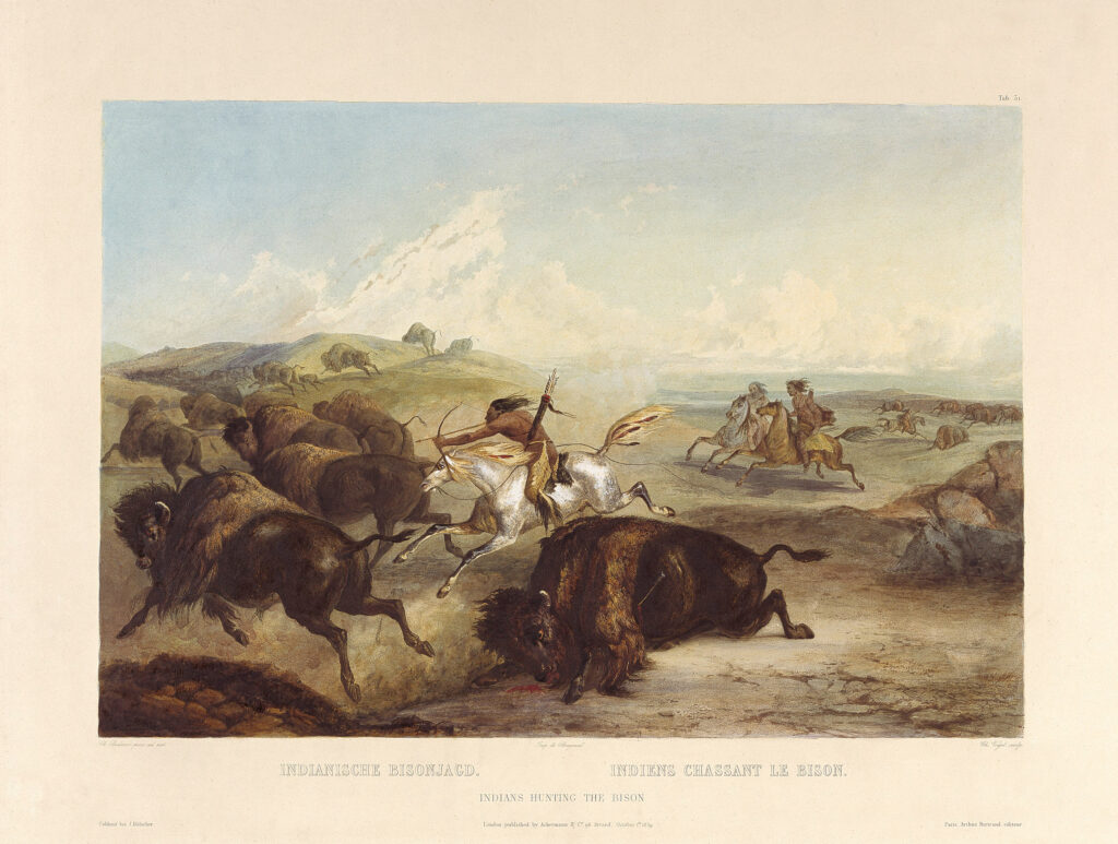 Karl Bodmer, Indians Hunting the Bison, 1839 Aquatint, etching, and stipple Nordamerika Native Museum, Zurich