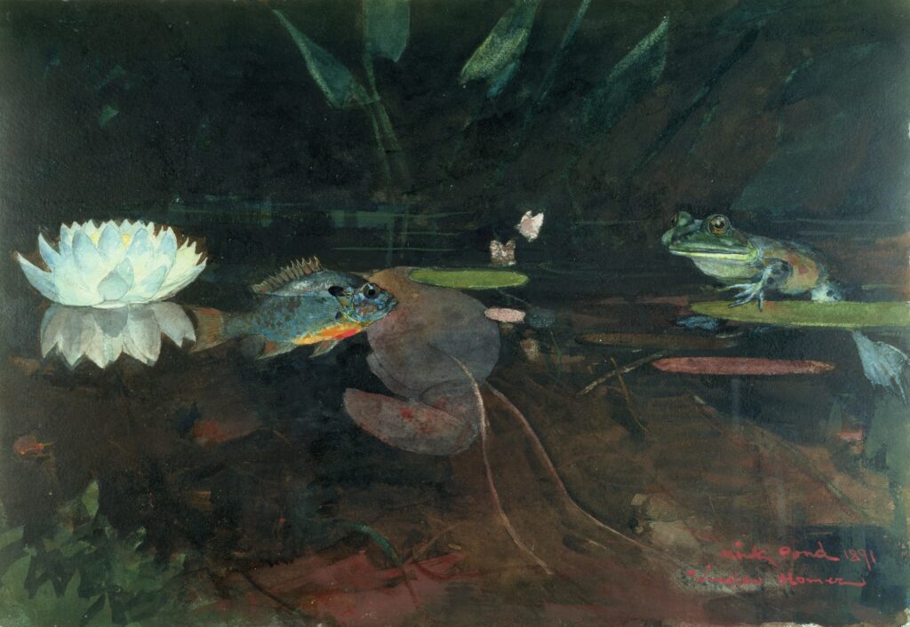 Winslow Homer, Mink Pond, 1891 Transparent and opaque watercolor and graphite on heavy white wove paper, 13.9 × 20 in Harvard Art Museums/Fogg Museum, Cambridge, Massachusetts