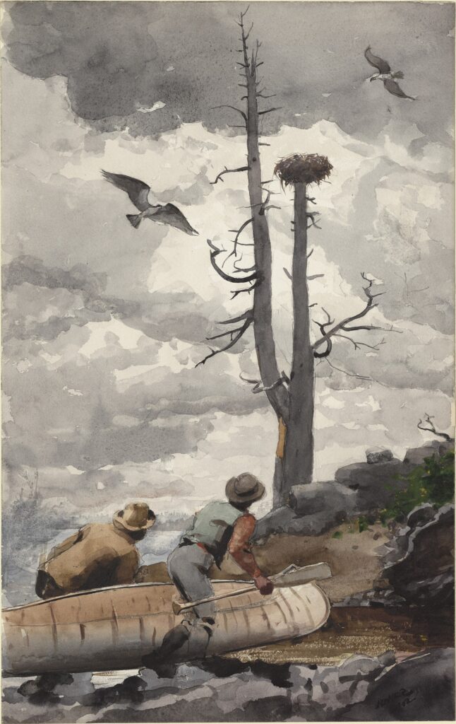 Winslow Homer, The Eagle's Nest/Osprey's Nest, 1902 Watercolor over graphite pencil on cream-colored wove paper, 21.5 × 13.6 in Clark Art Institute, Williamstown, Massachusetts