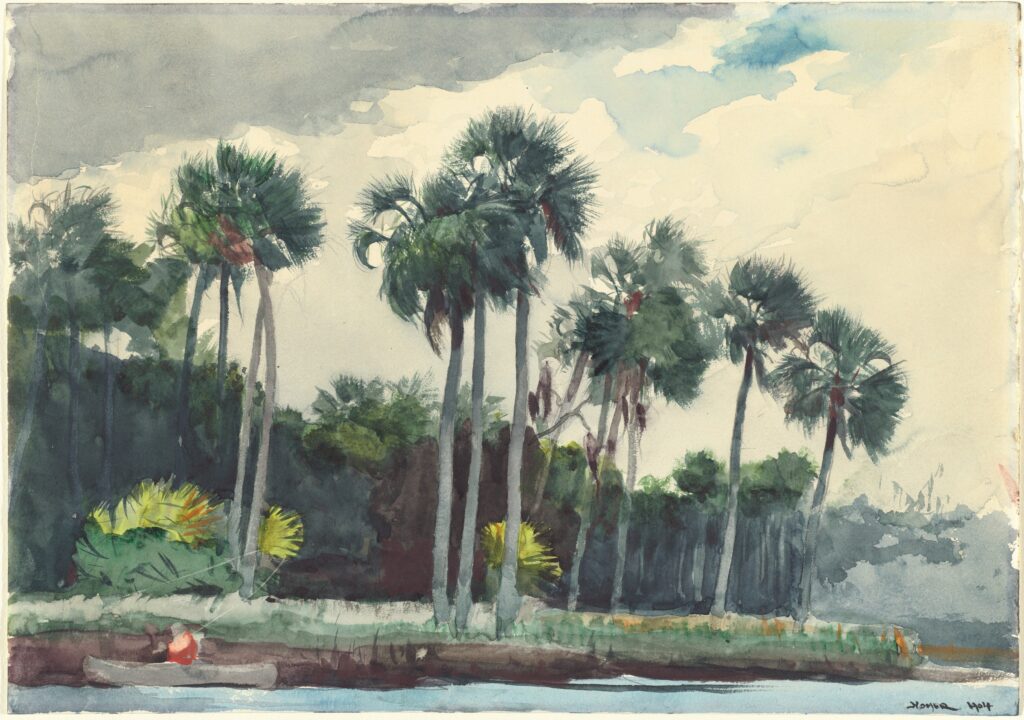 Winslow Homer, Red Shirt, Homosassa, Florida, 1904 Watercolor over graphite on wove paper, 13.9 × 19.8 in National Gallery of Art, Washington DC