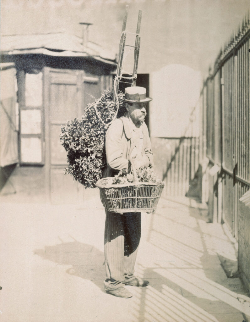 Eugène Atget, Artichoke Seller, Place Saint-Médard, 5th Arrondissement, Paris, 1899 Albumen silver print, 8.5 × 6.7 in Carnavalet Museum – History of Paris